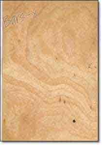 Шпонированные и ламинированные панели фото Шпонированные и ламинированные панели